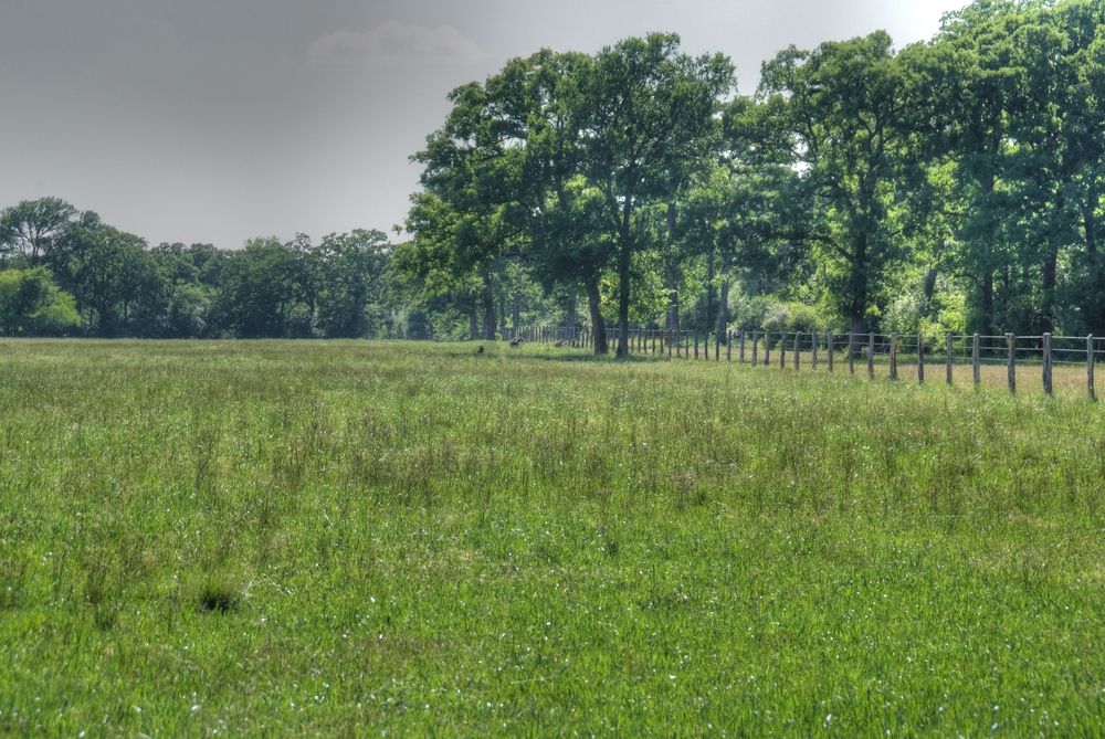 Grimes County Ranch: FM 3090 & CR 306, Anderson, TX 77830